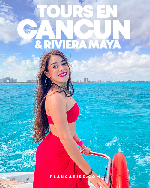 Equipo Audio Profesional - Cancun, Playa, Tulum