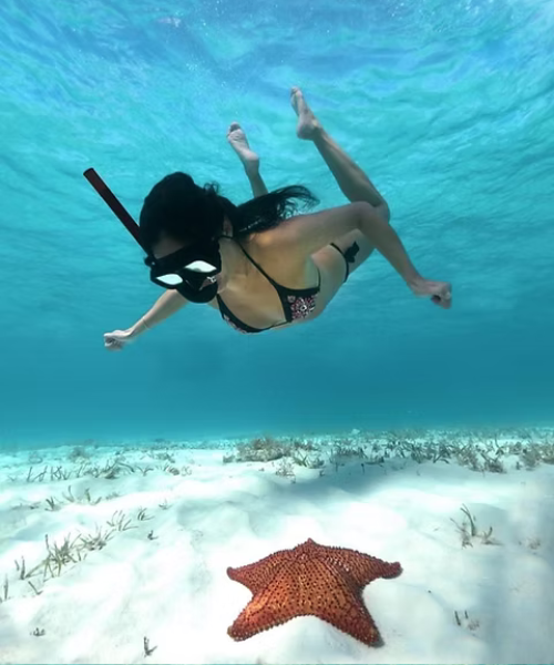 Diseño sin título