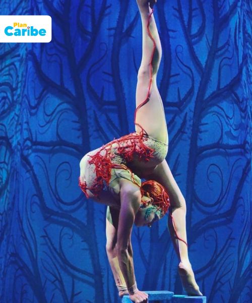 Tours En Cancún Plan Caribe - 2025-07-13T173242.738