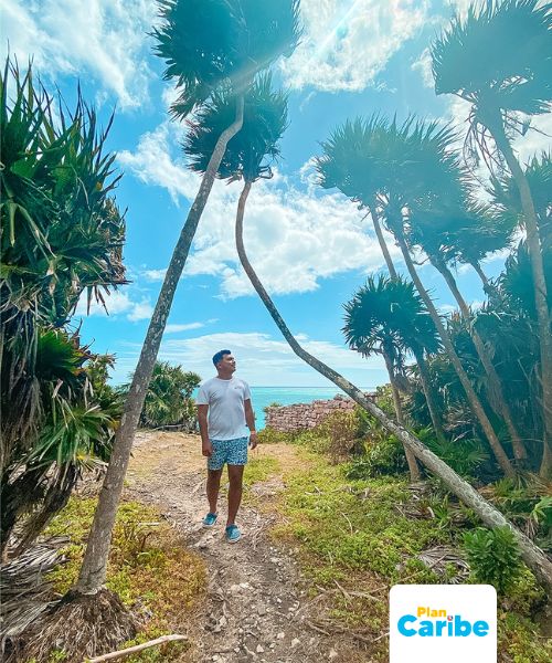 Tours En Cancún Plan Caribe (23)