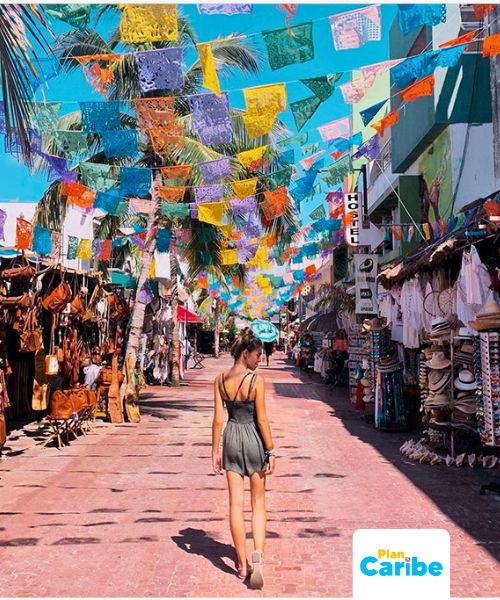 Tours En Cancún Plan Caribe (24)