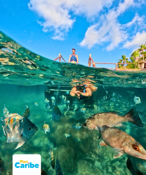 Tours En Cancún Plan Caribe (41)