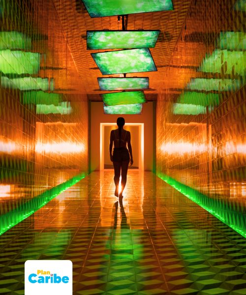 Tours En Cancún Plan Caribe (48)