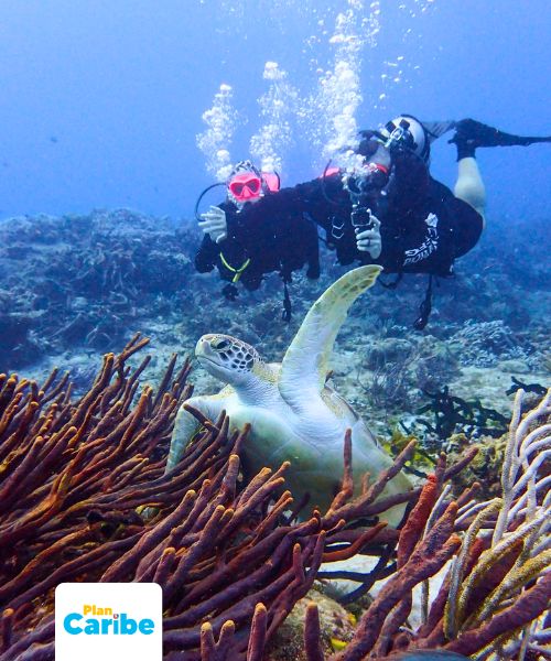 Tours En Cancún Plan Caribe (59)