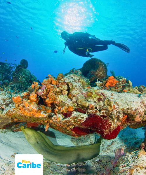 Tours En Cancún Plan Caribe (60)