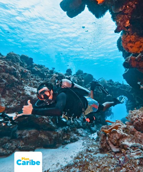 Tours En Cancún Plan Caribe (61)