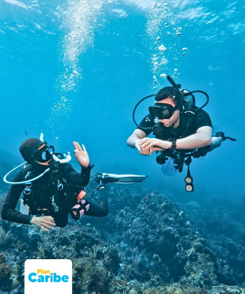 Tours En Cancún Plan Caribe (62)