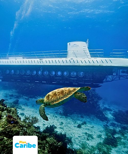 Tours En Cancún Plan Caribe (63)