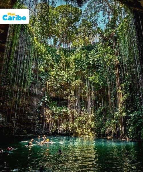 Tours En Cancún Plan Caribe (84)