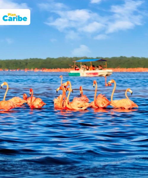 Tours desde Mérida Yucatan - Plan Caribe (14)
