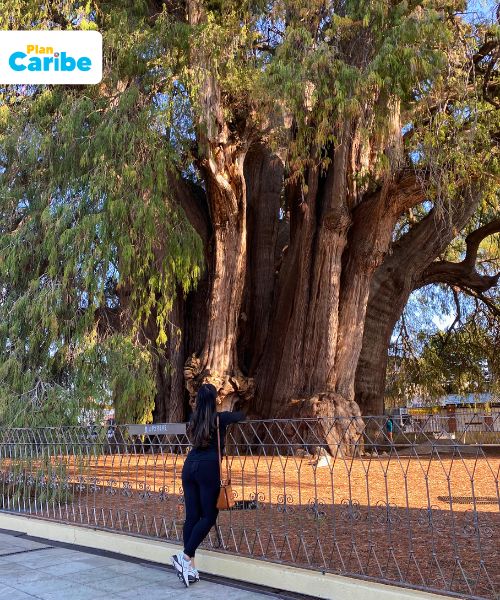 Tours en Chiapas México - Plan Caribe (5)