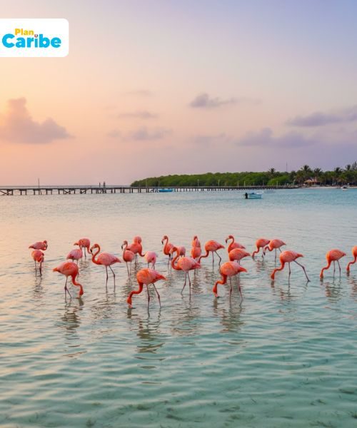 Plan Caribe Tours (14)