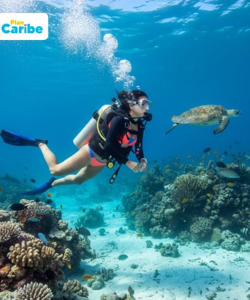 Plan Caribe Tours (2)