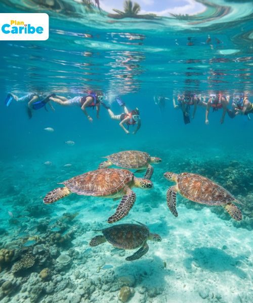Plan Caribe Tours
