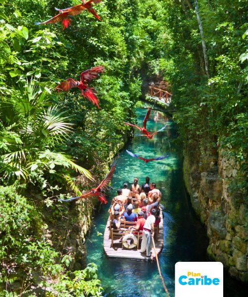 Tours En Cancún Plan Caribe (32)