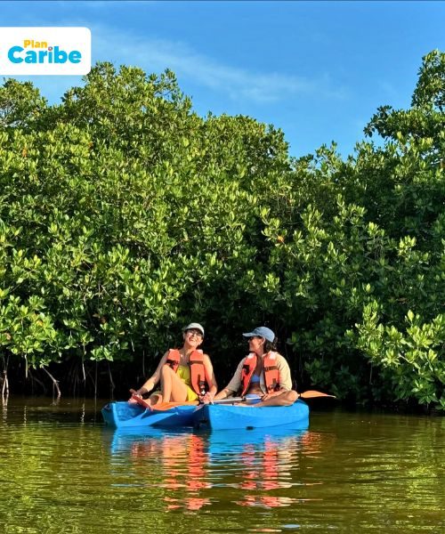 Tours En Cancún Plan Caribe (94)